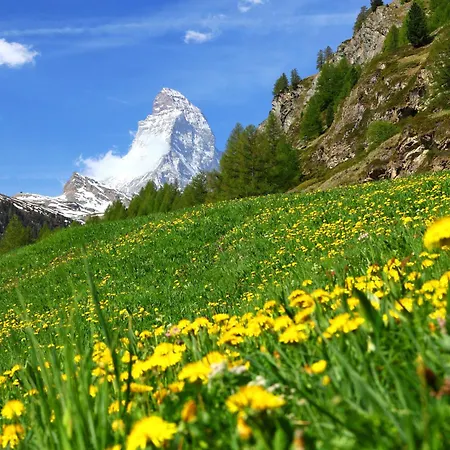 Apartment Viktoria A-3 By Interhome Zermatt